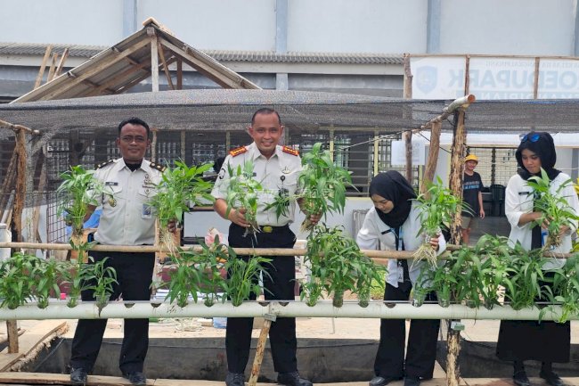 Uji Coba Akuaponik, Lapas Pangkalpinang Panen 7 Kg Kangkung dari Gelas Bekas