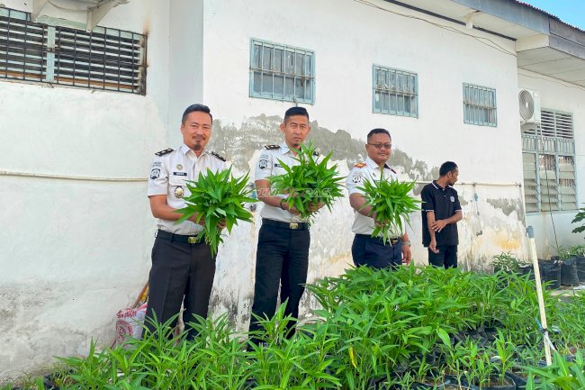 Buktikan Kemandirian Pangan, Rutan Kolaka Panen 80 Ikat Kangkung Segar  