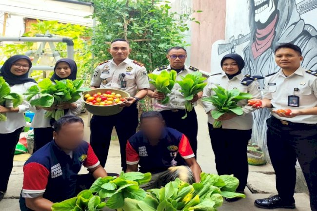 Lapas Wahai Panen Sawi Hidroponik dan Tomat Apel, Ruang Belajar Nyata bagi Peserta Magang