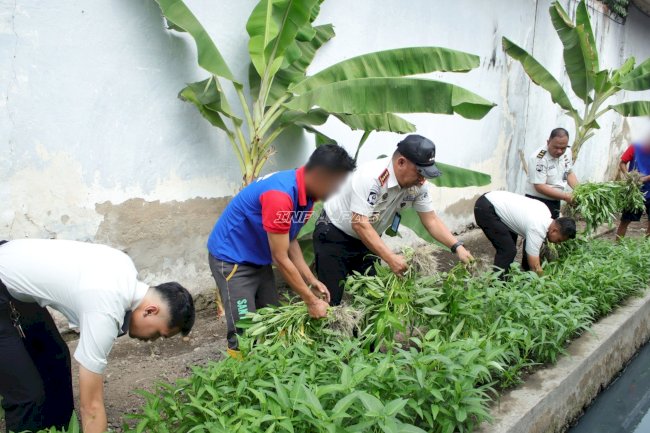 Manfaatkan Lahan Brandgang, Lapas Banjarmasin Panen 48,5 Kg Kangkung