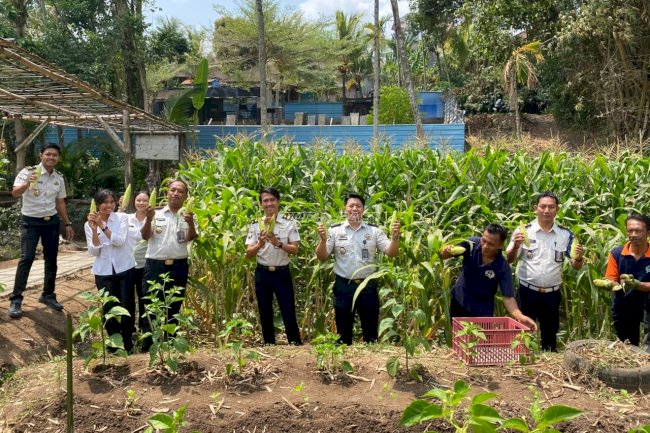 Dari Keterampilan Jadi Hasil, Warga Binaan Lapas Tabanan Panen Jagung