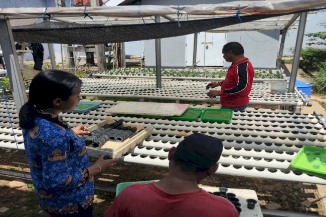 Budidaya Selada Hidroponik Perkaya Keterampilan Warga Binaan Lapas Kendari