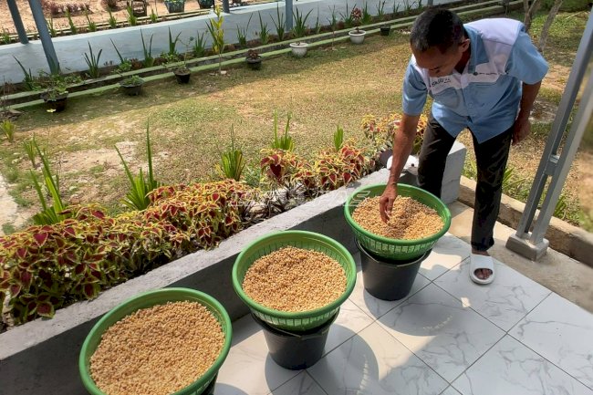 Naik Level, 16 Warga Binaan Lapas Tanjungpandan Kuasai Pengolahan Tahu dan Tempe