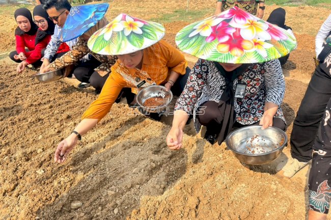 Manfaatkan Lahan Kosong, Lapas Perempuan Kendari Kembangkan Budi Daya Kangkung