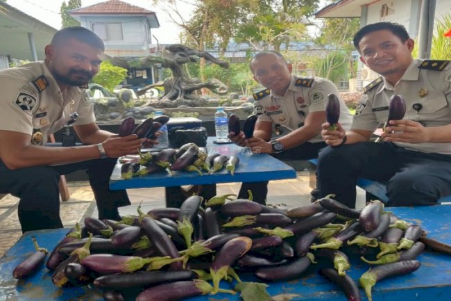 Buah dari Ketekunan, Warga Binaan Lapas Narkotika Karang Intan Panen 10 Kg Terung
