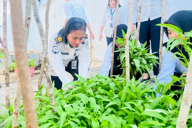 Panen 13 Ikat Kangkung, Lapas Saparua Dukung Ketahanan Pangan