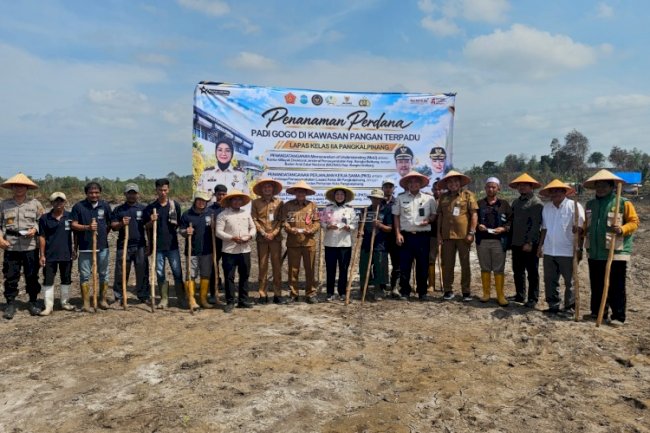  Lapas Pangkalpinang Tanam Padi Gogo Khas Bangka, Wujudkan Kawasan Pangan Terpadu di Tuatunu