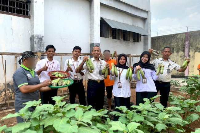 Panen 21 Kg Terung, Lapas Baubau Beri Manfaat bagi Warga Binaan dan Negara