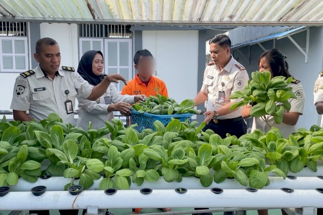 Panen 17 Kg Pakcoy, Rutan Ambon Dorong Kemandirian Warga Binaan
