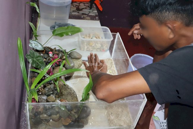 Salurkan Bakat dan Kreativitas, Warga Binaan Lapas Ambon Buat Aquascape