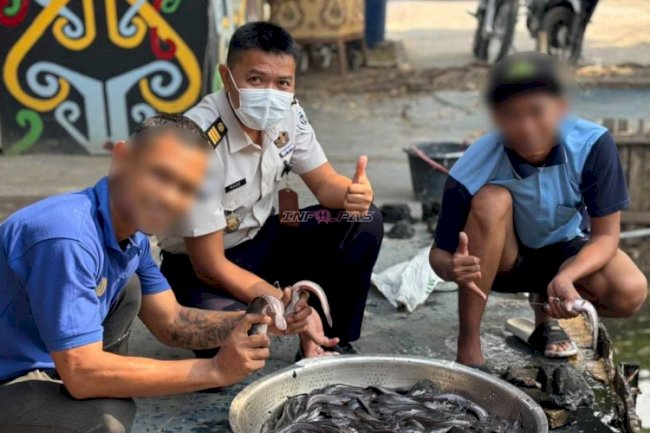 Rutan Marabahan Sukses Panen Lele, Daun Singkokng, dan Kangkung