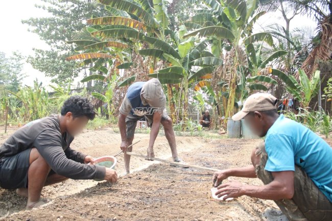 Konsisten Dukung Ketahanan Pangan, Lapas Piru Lakukan Pembibitan Kangkung