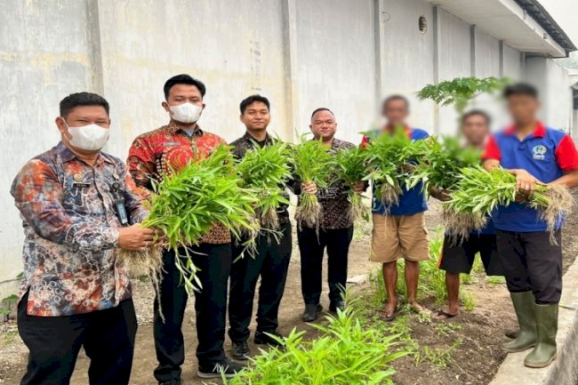 Lapas Banjarmasin Panen 66 Kg Kangkung, Hasilnya Diserap Vendor Dapur