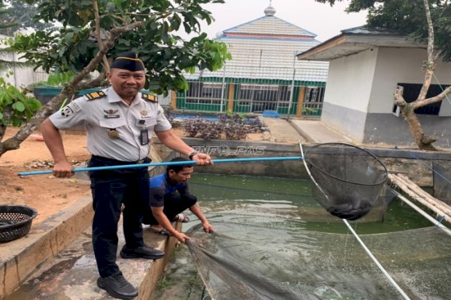Lapas Tanjung Panen Lele 20 Kilogram, Wujudkan Pembinaan Produktif dan Berkelanjutan