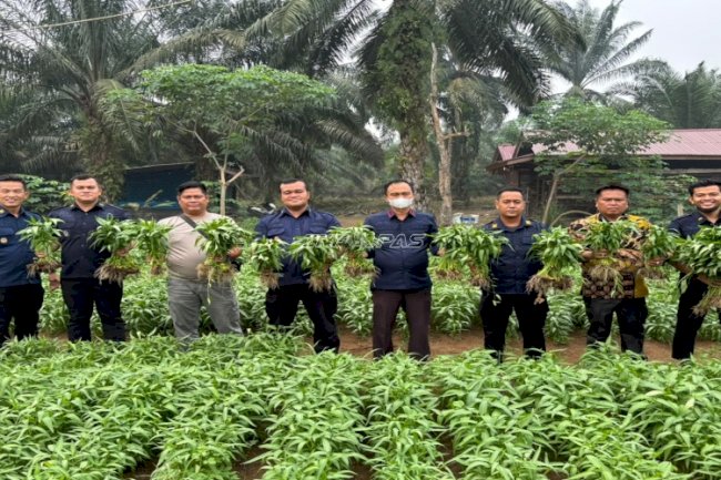 Panen Kangkung Jadi Bukti Nyata Pembinaan Kemandirian di Lapas Muara Tebo