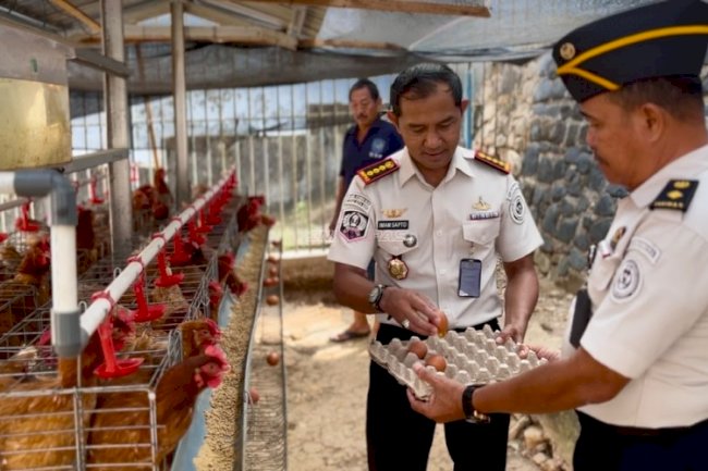 Dukung Produktivitas Peternakan, Lapas Kotabaru Panen Perdana 30 Butir Telur Ayam