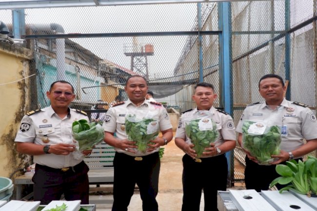 Panen 50 Kilogram Pakcoy Hidroponik, Lapas Narkotika Pangkalpinang Perkuat Pembinaan Kemandirian