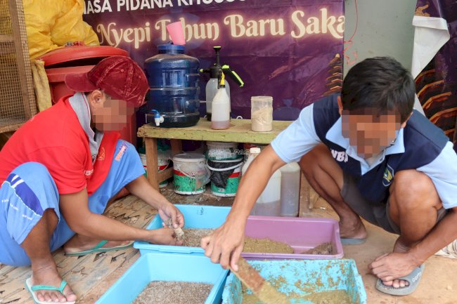 Lapas Batulicin Kembangkan Budidaya Maggot untuk Pakan Ternak dan Ikan