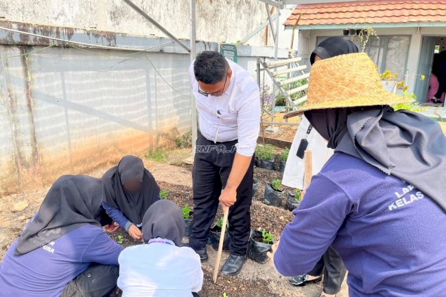Praktik Tanam Sawi, Lapas Perempuan Martapura Kembangkan Keterampilan Warga Binaan
