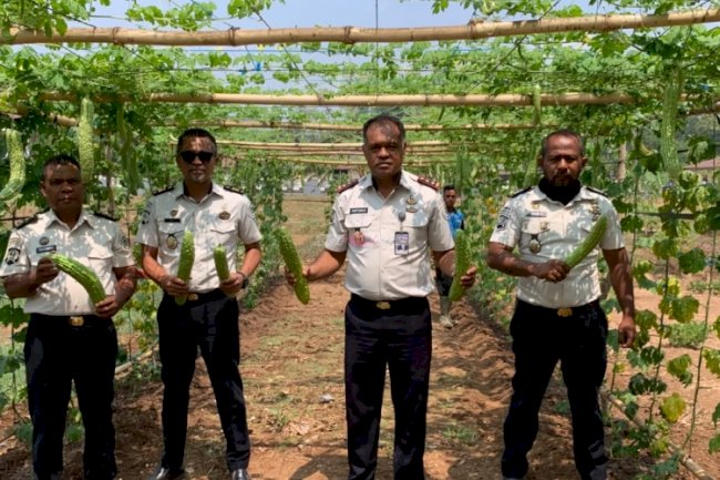 Uji Coba Tanam Paria di Lapas Atambua Tembus Panen 300 Kg
