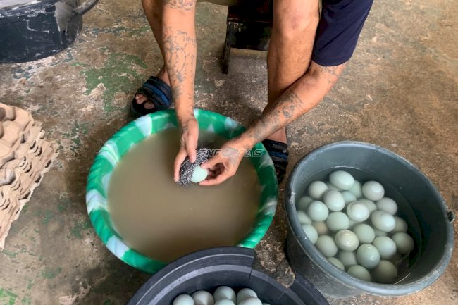 Kembangkan Keterampilan Pengolahan Pangan, Warga Binaan Lapas Kotabaru Produksi Telur Asin
