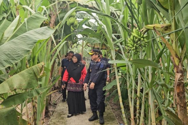 Lapas Kuala Tungkal Kenalkan Sistem Pemasyarakatan lewat Edutrip bersama Mahasiswa Univ. Islam An-Nadwah 