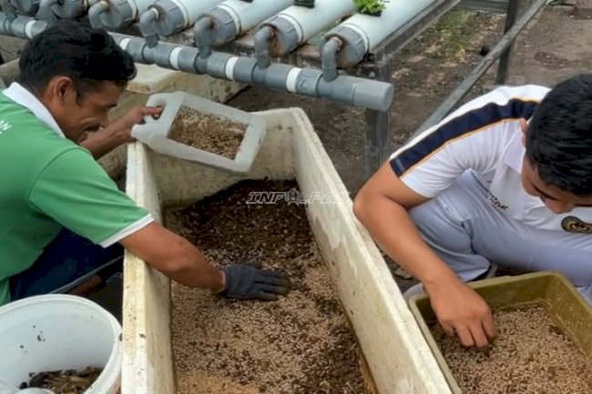 Ekonomi Sirkular Berbasis Swasembada, Lapas Luwuk Sulap Limbah Dapur Jadi Pakan Ikan dan Pupuk Organik