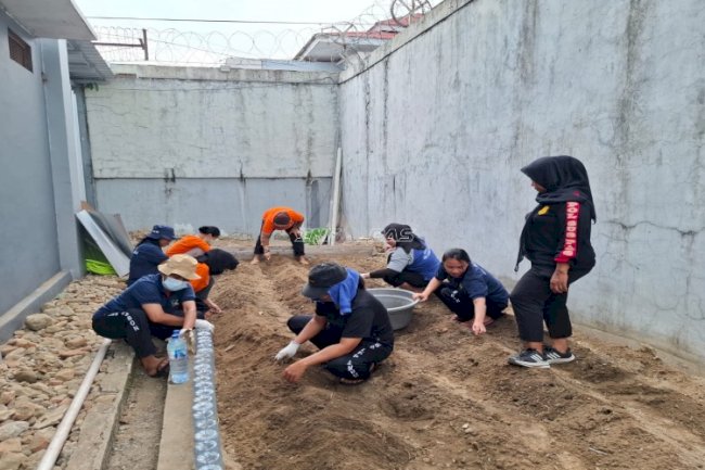 Lapas Perempuan Ambon Kembangkan Budidaya Cabai, Tomat, dan Pepaya