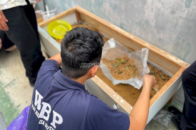 Panen Perdana, Lapas Kotabaru Hasilkan 4 Kilogram Maggot