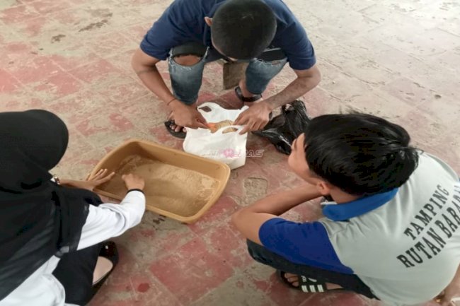 Rutan Barabai Kembangkan Budidaya Maggot BSF untuk Dukung Pengelolaan Sampah Organik