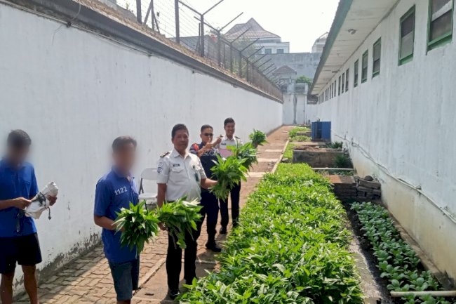 Dukung Program Ketahanan Pangan, Lapas Magelang Sukses Panen Kangkung