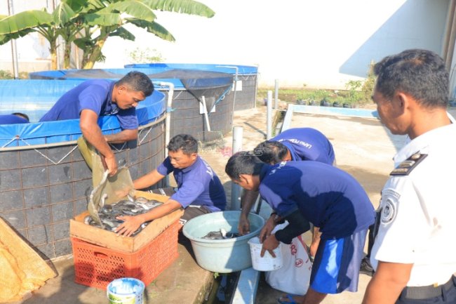 Wujudkan Pembinaan Produktif dan Berkelanjutan, Lapas Pemuda Madiun Panen 93 Kilogram Lele