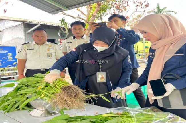 Lapas Banjarmasin Sambut Tim Pengawasan dan Pengambilan Sampel Kangkung untuk Sertifikasi Prima 3
