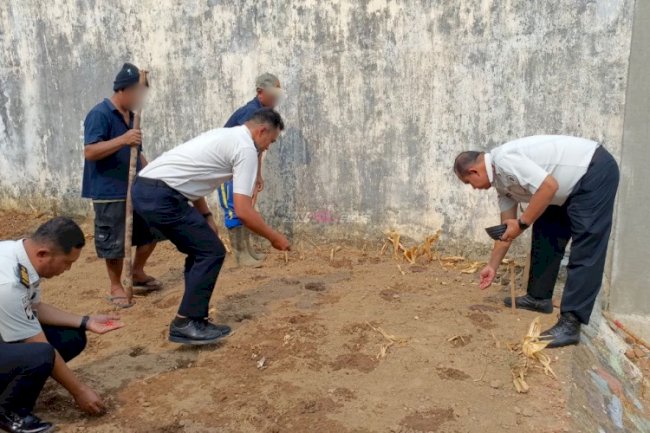 Lapas Pangkalpinang Manfaatkan Lahan Marginal untuk Budidaya Jagung Manis