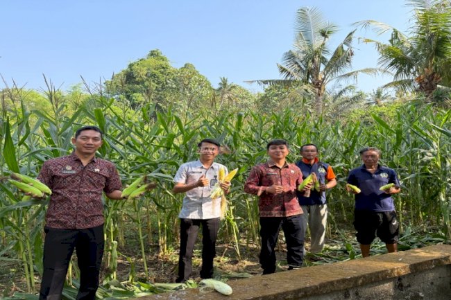 Dari Merawat hingga Panen, SAE Lapas Tabanan Jadi Ruang Belajar Warga Binaan