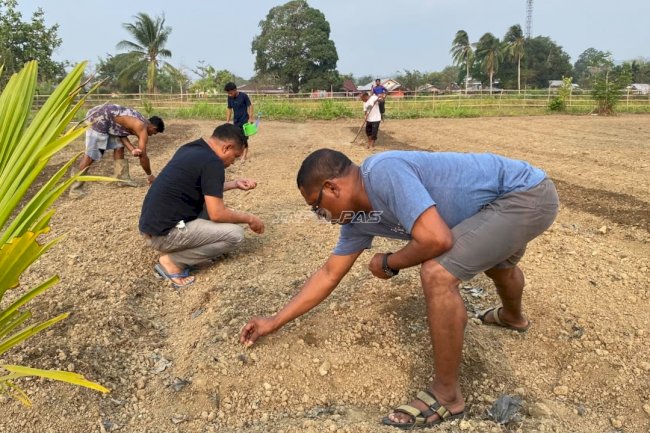 Rutan Masohi Lanjutkan Penanaman dan Kacang Tanah di Lahan SAE