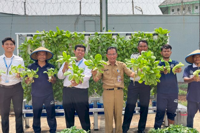 Hidroponik Hiver Jackson: Dari Benih, Warga Binaan Tumbuhkan Keterampilan dan Harapan