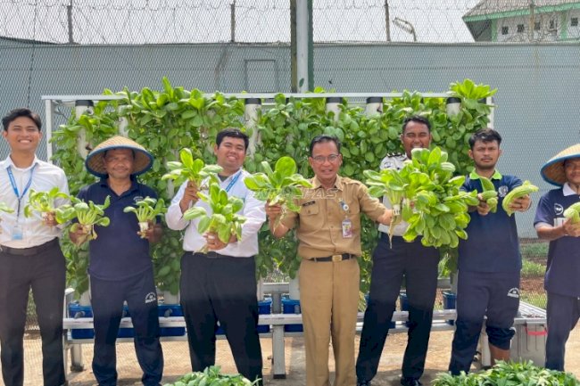Hidroponik Hiver Jackson: Dari Benih, Warga Binaan Tumbuhkan Keterampilan dan Harapan