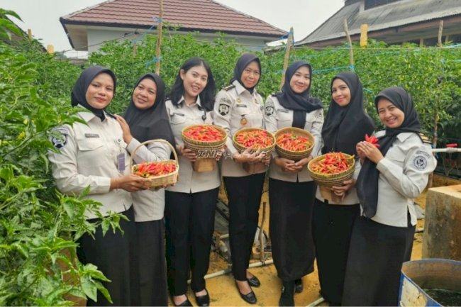 Lapas Pangkalpinang Panen Perdana 16 Kg Cabai Rawit di Lahan Marginal