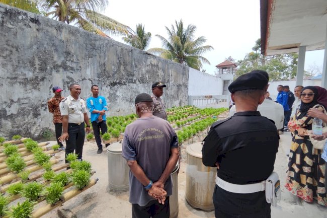 Inovasi Pertanian Hidroponik Lapas Geser Diapresiasi Forkopimcam Seram Timur