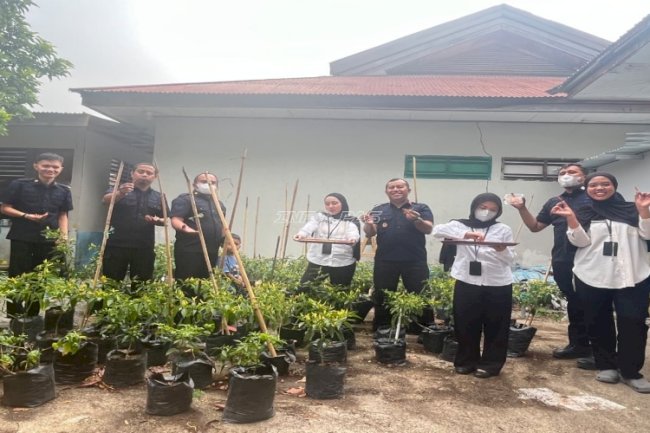 Bukan Sekadar Berkebun, Bapas Luwuk Petik Hasil Program Ketahanan Pangan