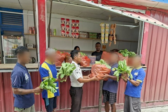 Panen 95 Ikat Sawi, Warga Binaan Rutan Masohi Dukung Program Ketahanan Pangan