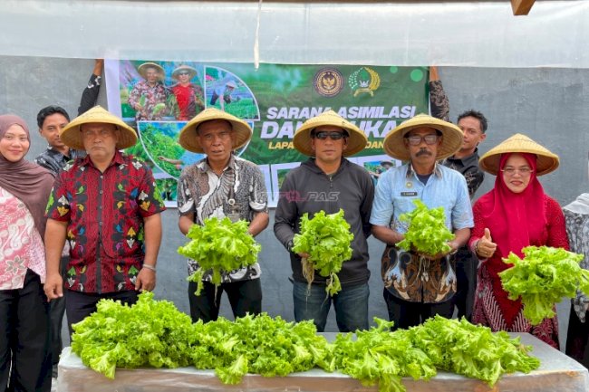 Panen Sawi dan Selada Hidroponik, Lapas Bandanaira Perkuat Ketahanan Pangan