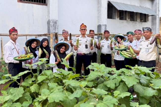 Lapas Baubau Panen 25,4 Kilogram Tanaman Hortikultura