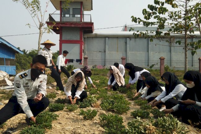 Panen Kacang Tanah, LPKA Kendari Bekali Anak Binaan Keterampilan Praktis