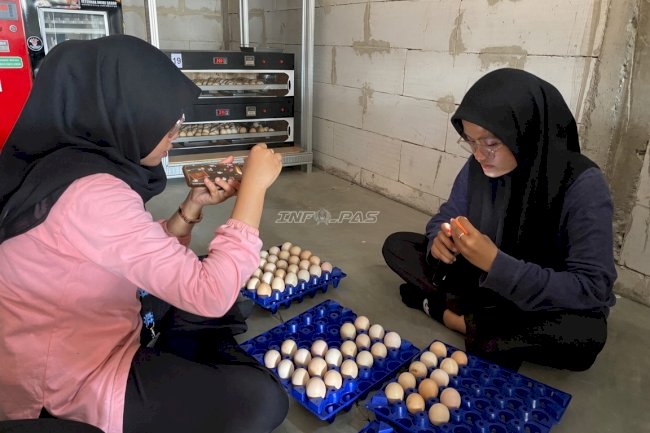 Peserta Magang Lapas Terbuka Kendal Belajar Identifikasi Telur Fertil melalui Candling