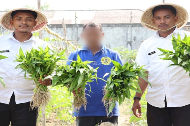 Warga Binaan Lapas Ambon Panen 35 Ikat Kangkung dari Pemanfaatan Lahan Kosong