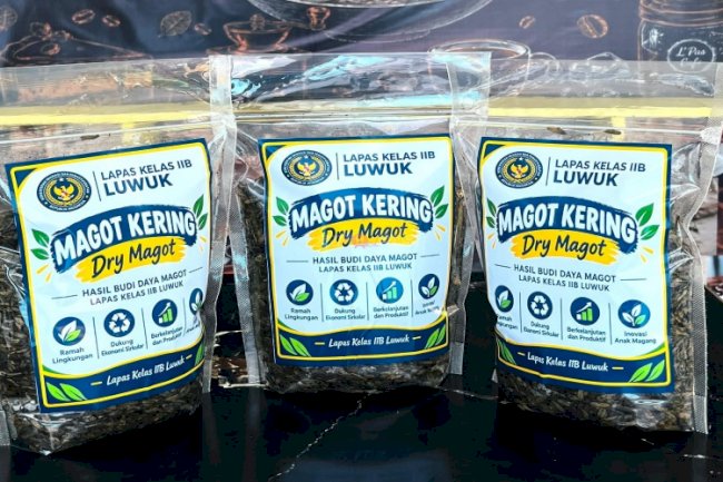 Tingkatkan Kemandirian Warga Binaan, Lapas Luwuk Luncurkan Produk Olahan Maggot Kering