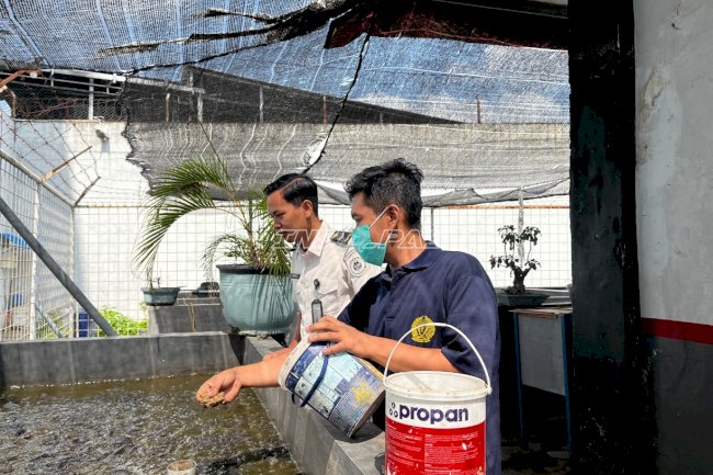 Lapas Jember Dorong Keterampilan Usaha Warga Binaan melalui Budi Daya Lele