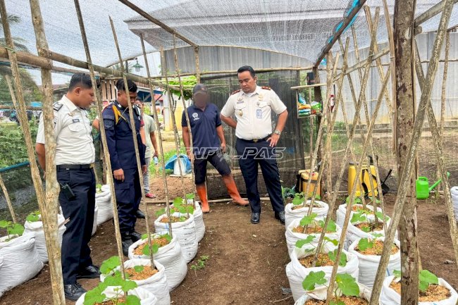Lapas Dharmasraya Kembangkan Ayam Petelur dan Kebun Melon Dukung Ketahanan Pangan